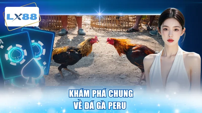 Khám phá chung về đá gà peru