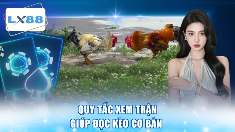 Quy tắc xem trận giúp đọc kèo cơ bản