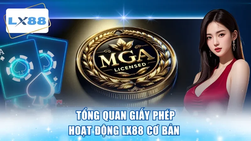 Tổng quan giấy phép hoạt động LX88 cơ bản